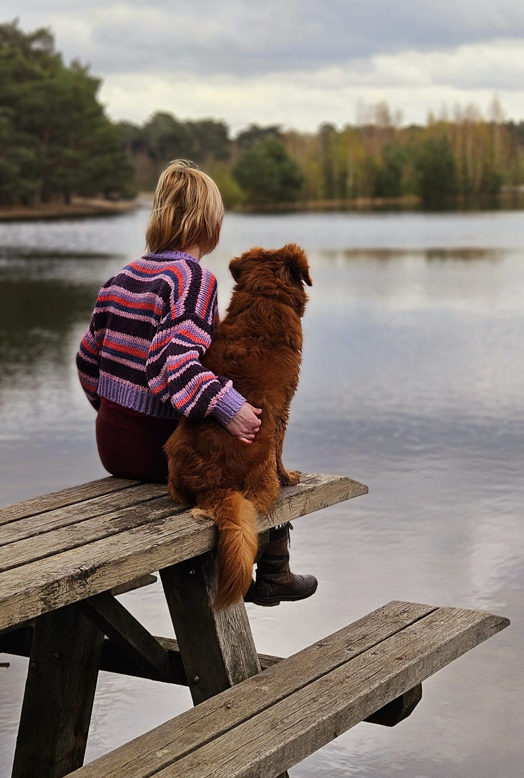 Impressie van All About Animals