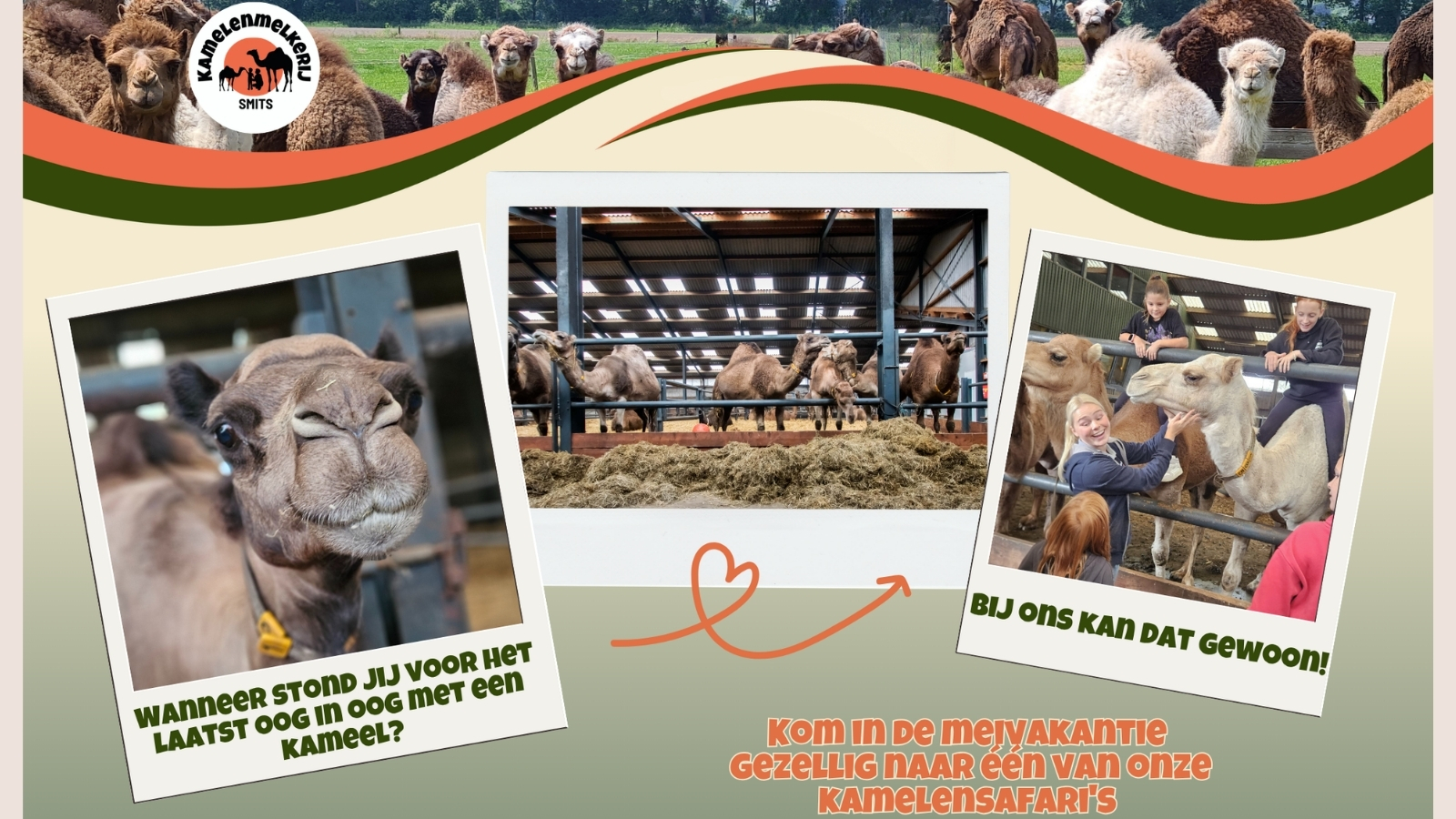 Kamelenmelkerij Smits social media