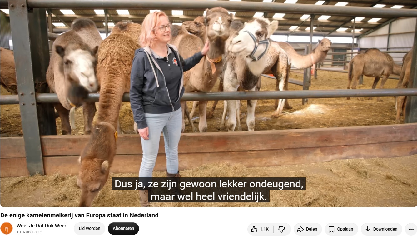 Weet je dat ook weer